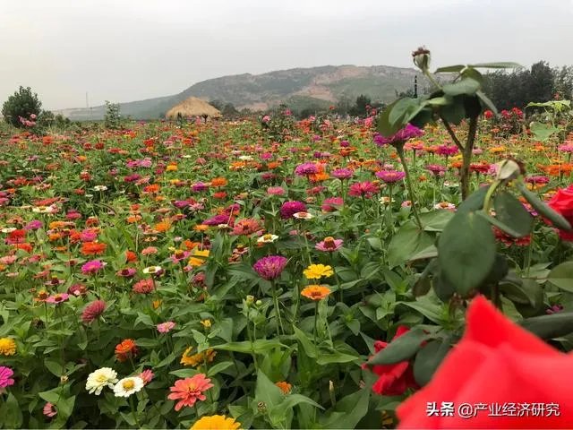 河北人怎么看省会石家庄！他们说省会是北京天津！你怎么看？