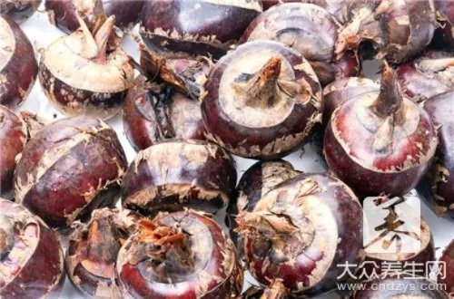 荸荠的作用和功效