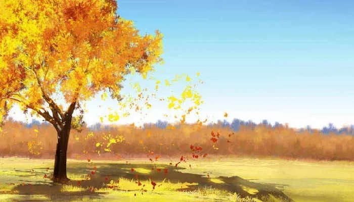 立秋后天气还会热吗