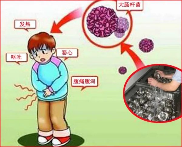 如果使用大肠菌群超标的餐具，会引起哪些疾病？