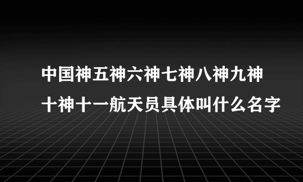 中国神五神六神七神八神九神十神十一航天员具体叫什么名字