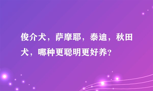 俊介犬，萨摩耶，泰迪，秋田犬，哪种更聪明更好养？