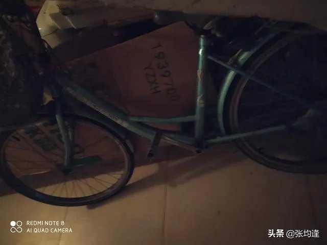 我是不是恁哥女版mv