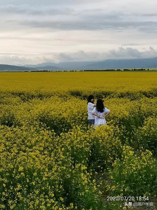 上海奉贤区东端这个镇