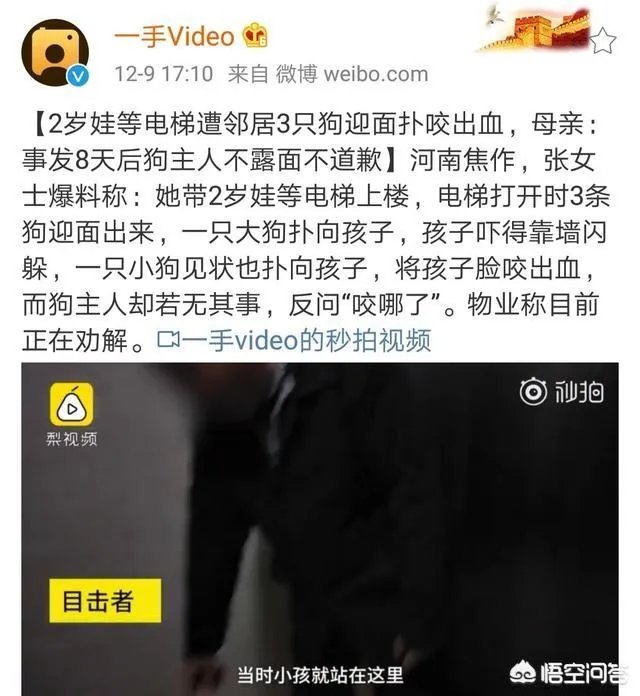 2岁娃等电梯时遭邻居3只狗迎面扑咬出血，事发8天后狗主人不露面不道歉，你怎么看？