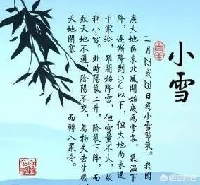 小雪节气适合吃什么？