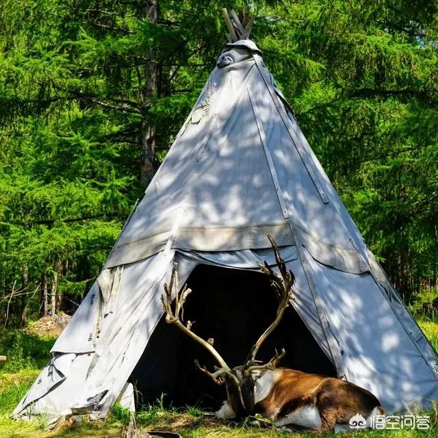 端午节想去草原旅游,这个时节草原好玩儿吗?