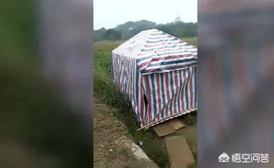 广西九旬老人病重住大棚,镇政府:当地忌讳老人在女儿家过世,你怎么看?