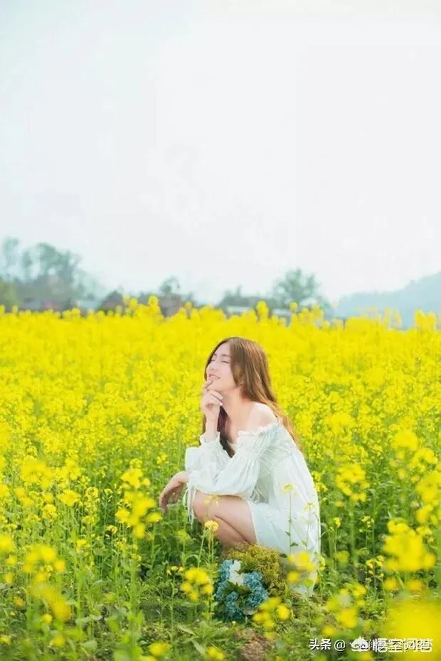 农村田野很多野菜都冒出了头，什么野菜是这个时节比较好采又好吃的？