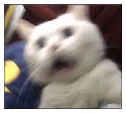 TVB50周年，视后会是宣萱或者鲍起静中的一位吗？