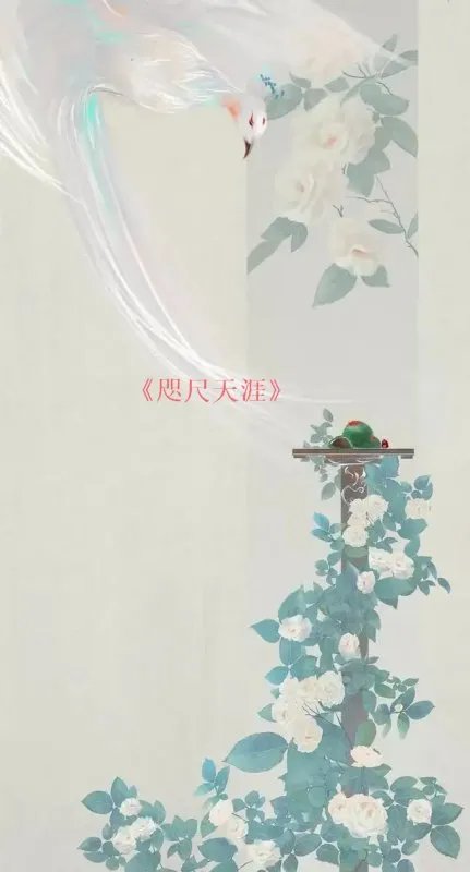 [网王]咫尺天涯txt全集下载