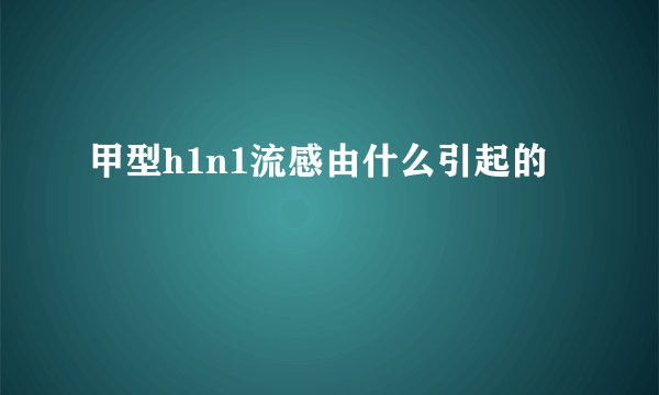 甲型h1n1流感由什么引起的