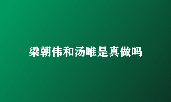 梁朝伟和汤唯是真做吗