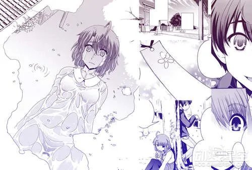 “随意改变性别”漫画《没有分界的世界》被腰斩 果然不能乱来啊