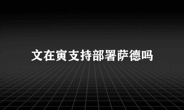 文在寅支持部署萨德吗