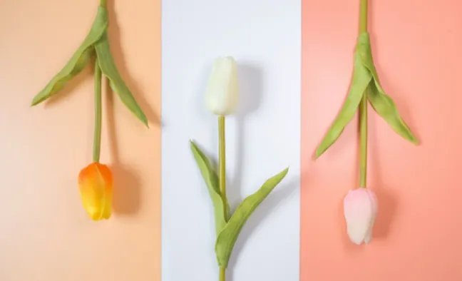 教师节送什么鲜花好