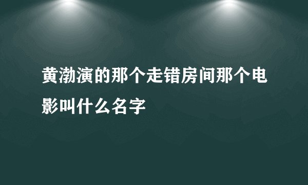 黄渤演的那个走错房间那个电影叫什么名字