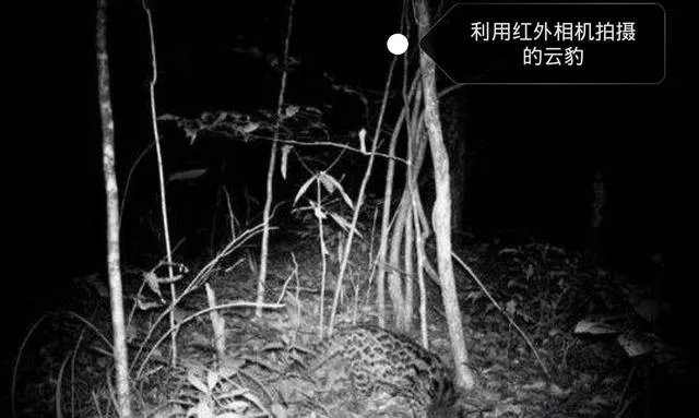 一加8pro镜头透视是炒作还是事实,你怎么看?