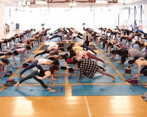 瑜伽教培班多少钱？