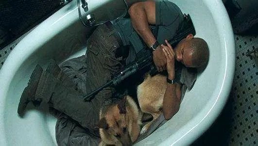 乳神高分电影欧美