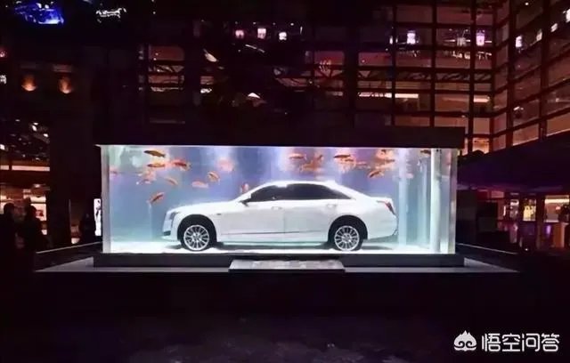 对于最近很火的凯迪拉克追高铁事件怎么看？