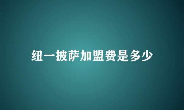 纽一披萨加盟费是多少