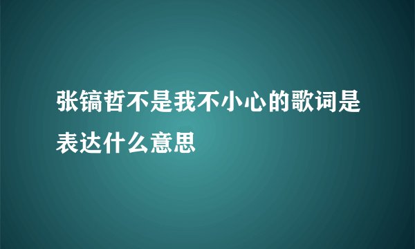张镐哲不是我不小心的歌词是表达什么意思
