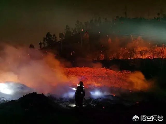 3月30日四川西昌发生森林火灾，情况怎么样了？