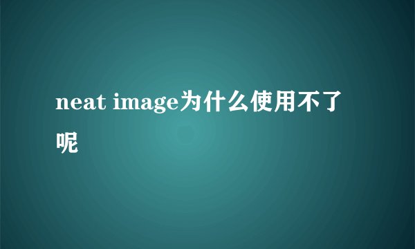 neat image为什么使用不了呢