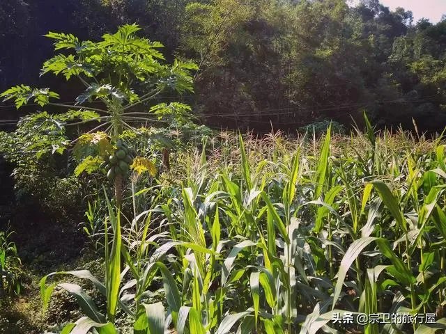湖南：国庆高速小客车免费通行，预判峰值日将出现在长假首日, 你怎么看？
