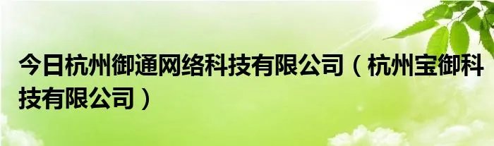 今日杭州御通网络科技有限公司（杭州宝御科技有限公司）