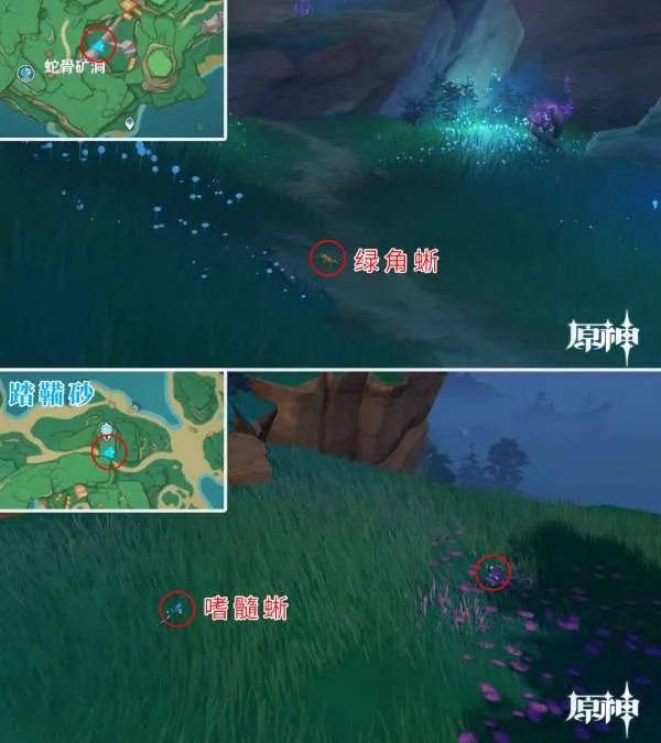原神四方八方之网可捕捉动物在哪