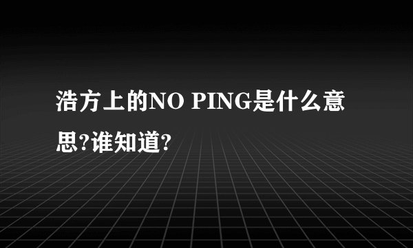浩方上的NO PING是什么意思?谁知道?