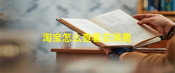 淘宝怎么查看总消费