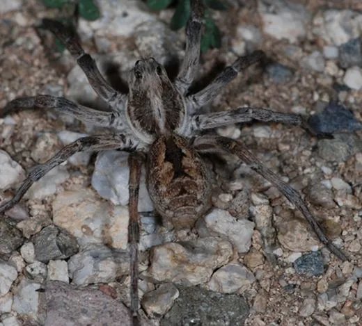 男子发现奇怪洞口:查看后被吓得连退几步(图)