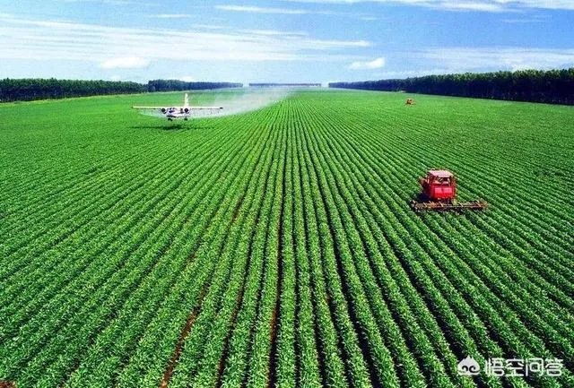 中国最具竞争力行业