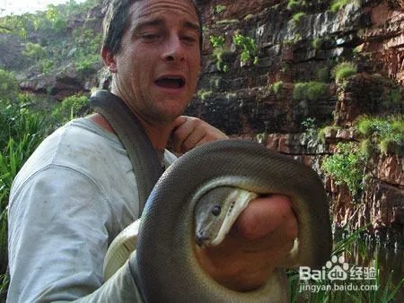 野外求生有哪些技巧和方法