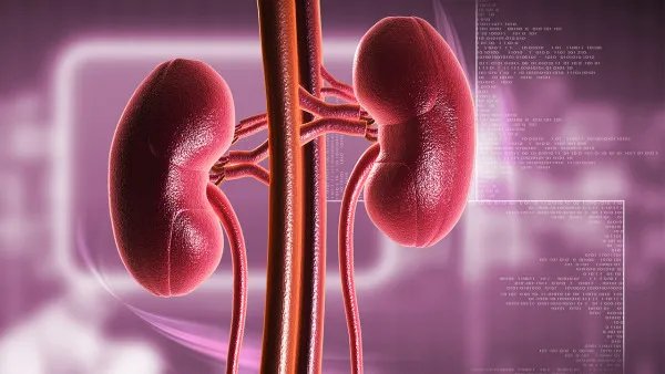 肾癌该如何治疗