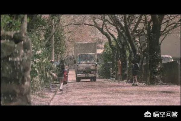 四月物语专业影评分析