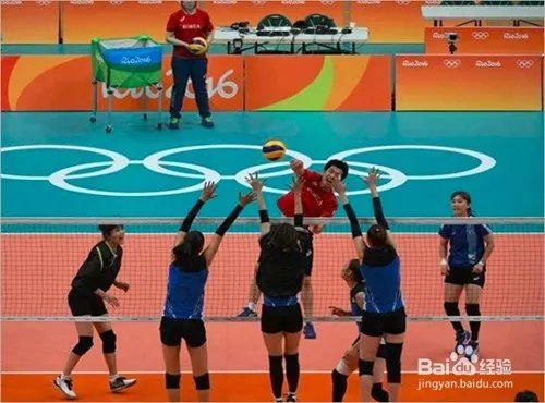 2016里约奥运会女排分组