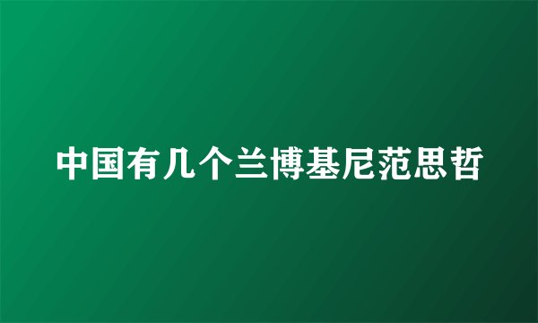 中国有几个兰博基尼范思哲