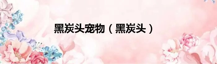 黑炭头宠物（黑炭头）