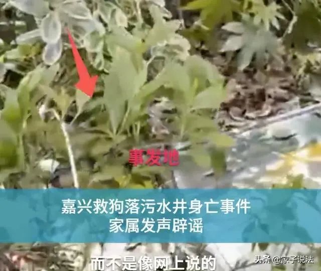 浙江女子喊老公下污水井救宠物狗致其身亡，年仅30岁，怎么看？