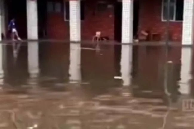 郑州特大暴雨已致51人遇难是怎么回事 郑州特大暴雨已致51人遇难是什么情况