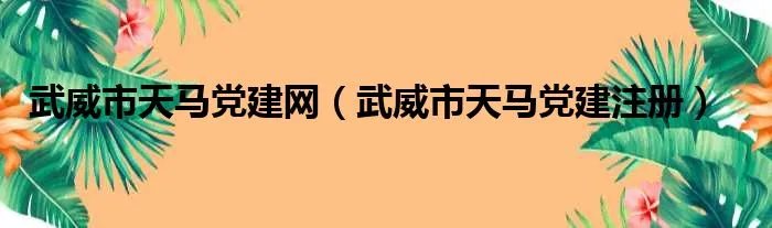 武威市天马党建网（武威市天马党建注册）