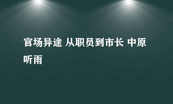 官场异途 从职员到市长 中原听雨