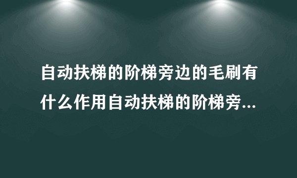 自动扶梯的阶梯旁边的毛刷有什么作用自动扶梯的阶梯旁边的毛刷作用是什么