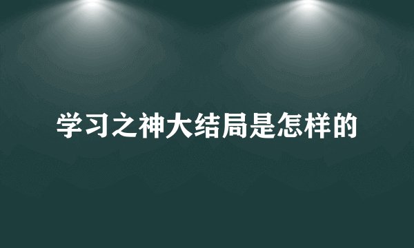 学习之神大结局是怎样的