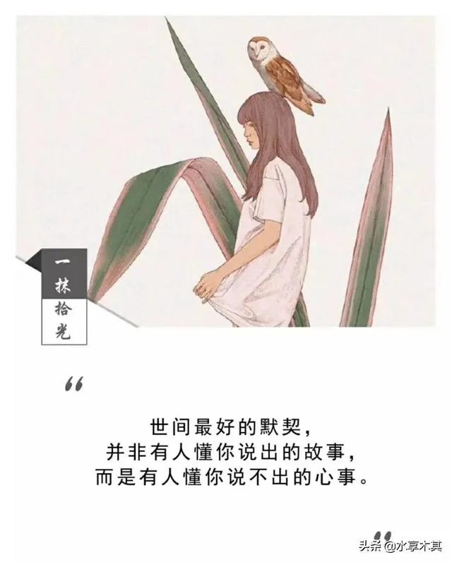 对于最近很火的凯迪拉克追高铁事件怎么看？