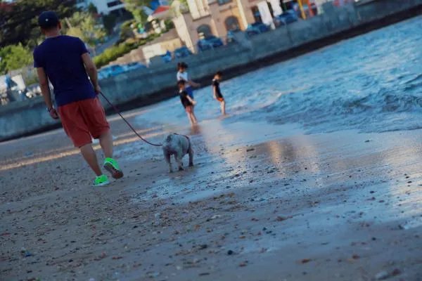 我想在威海买海景房,哪家好一些?